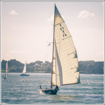 Article - Voilier sur le golfe du Morbihan